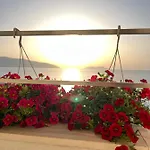 Lotus Apartament Wlora