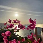 Lotus *