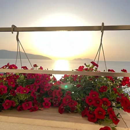 Lotus Apartamento Vlorë