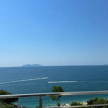 Lotus * Vlorë