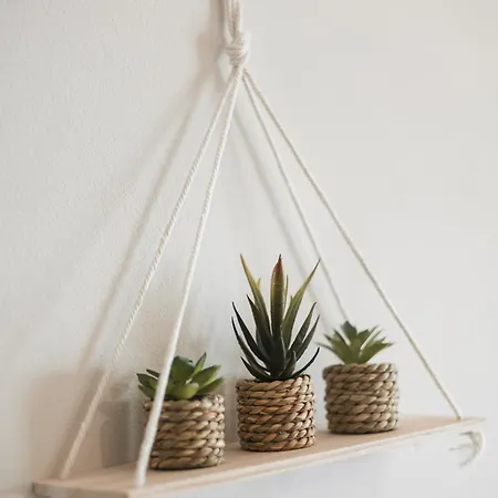 Apartment Lotus