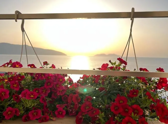 Lotus Apartment Vlore