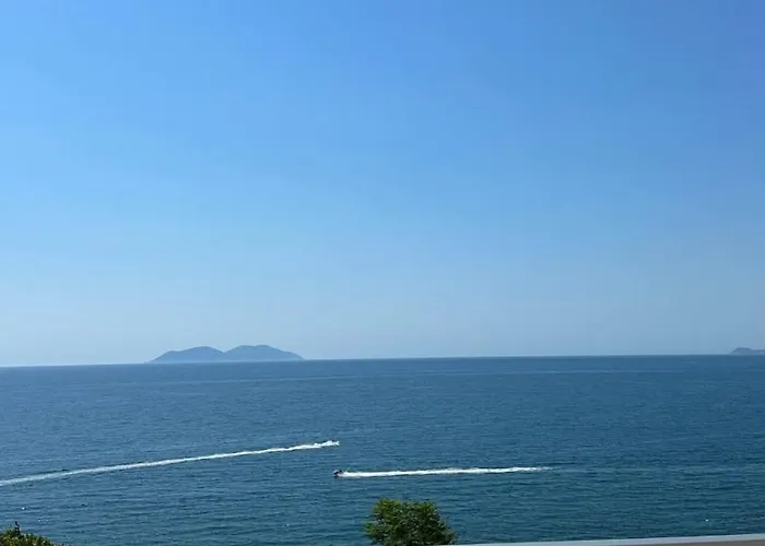 Lotus * Vlorë